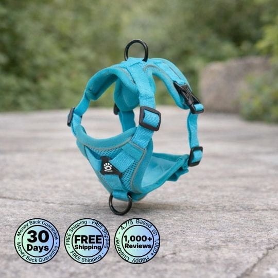 No Pull Dog Harness (Special Offer)