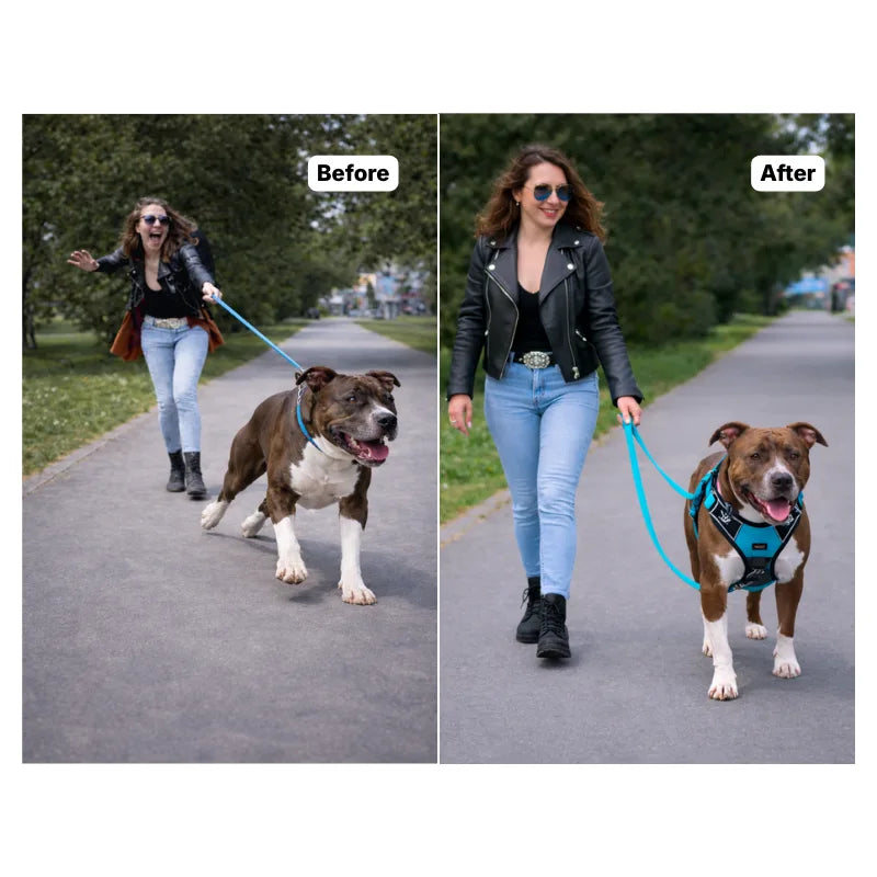 D-Ring No Pull Harness