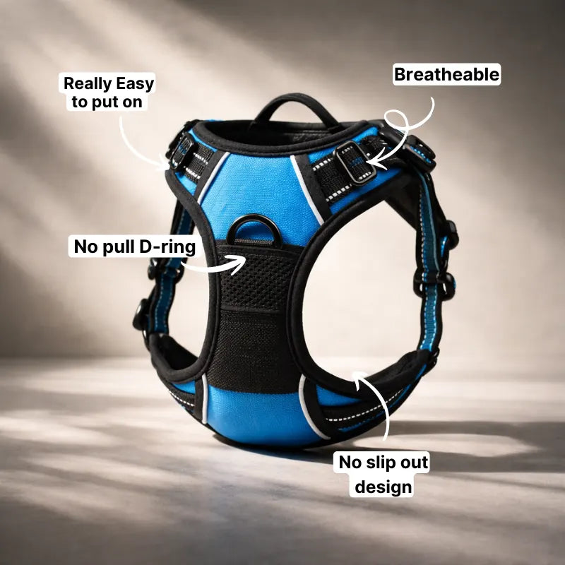 D-Ring No Pull Harness